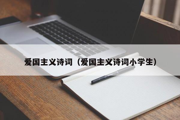 爱国主义诗词（爱国主义诗词小学生）