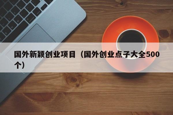 国外新颖创业项目（国外创业点子大全500个）