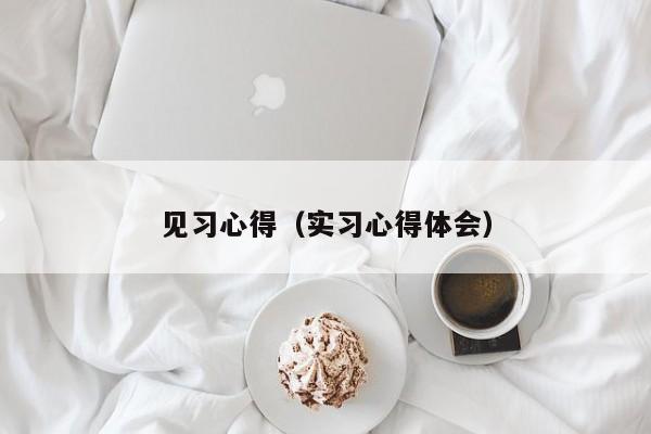 见习心得（实习心得体会）