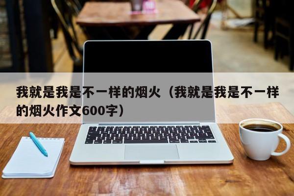 我就是我是不一样的烟火（我就是我是不一样的烟火作文600字）